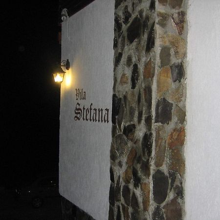 Vila Stefana Paltinis Luaran gambar