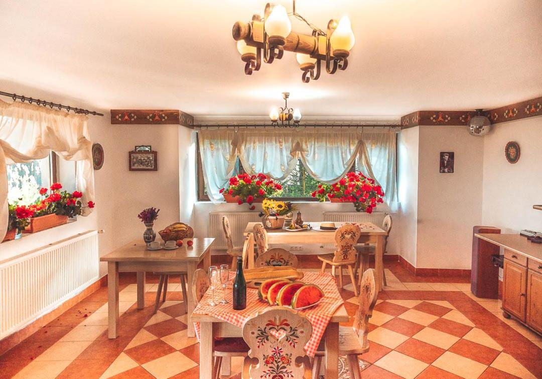 Vila Stefana Paltinis Luaran gambar