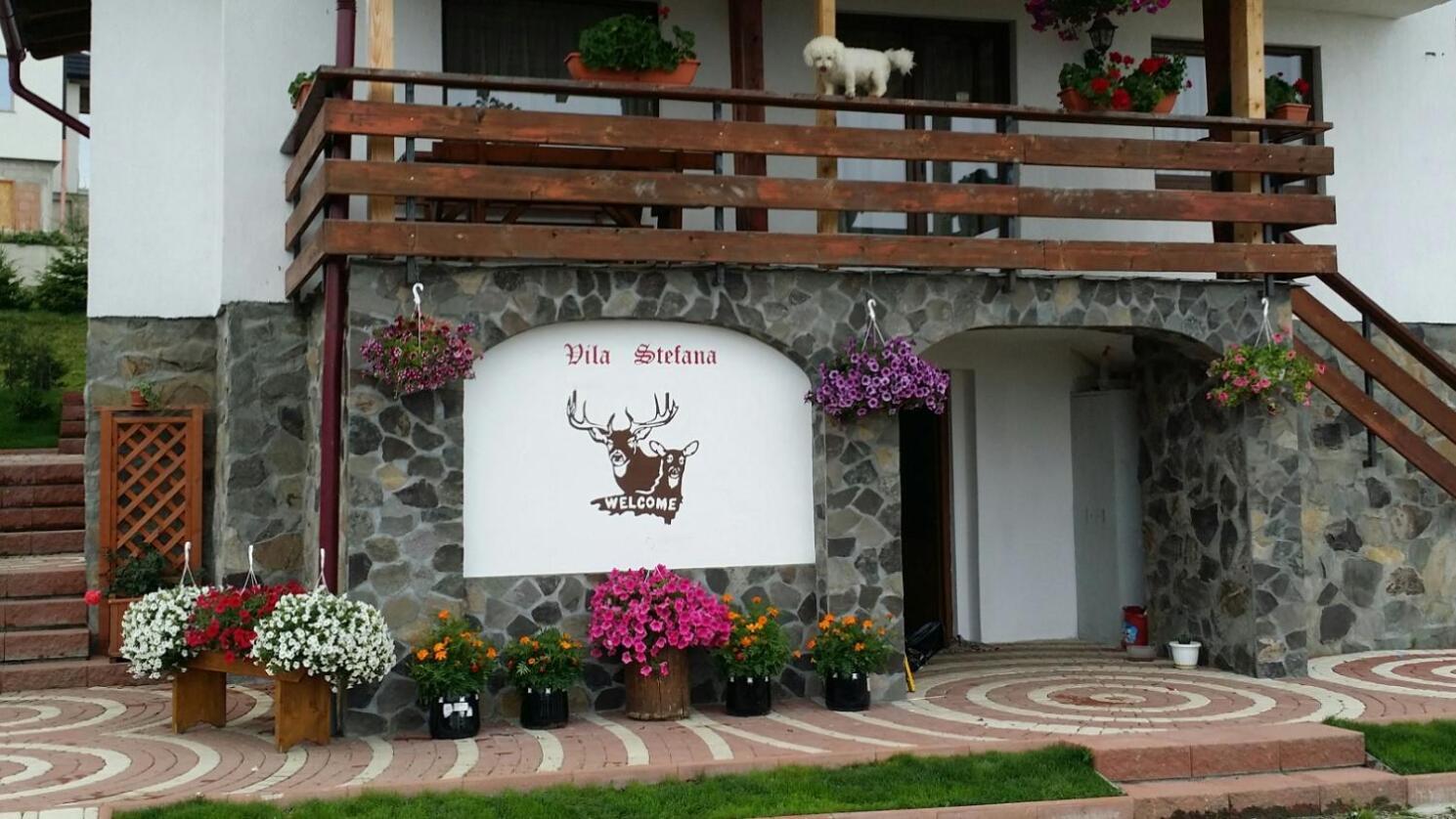 Vila Stefana Paltinis Luaran gambar