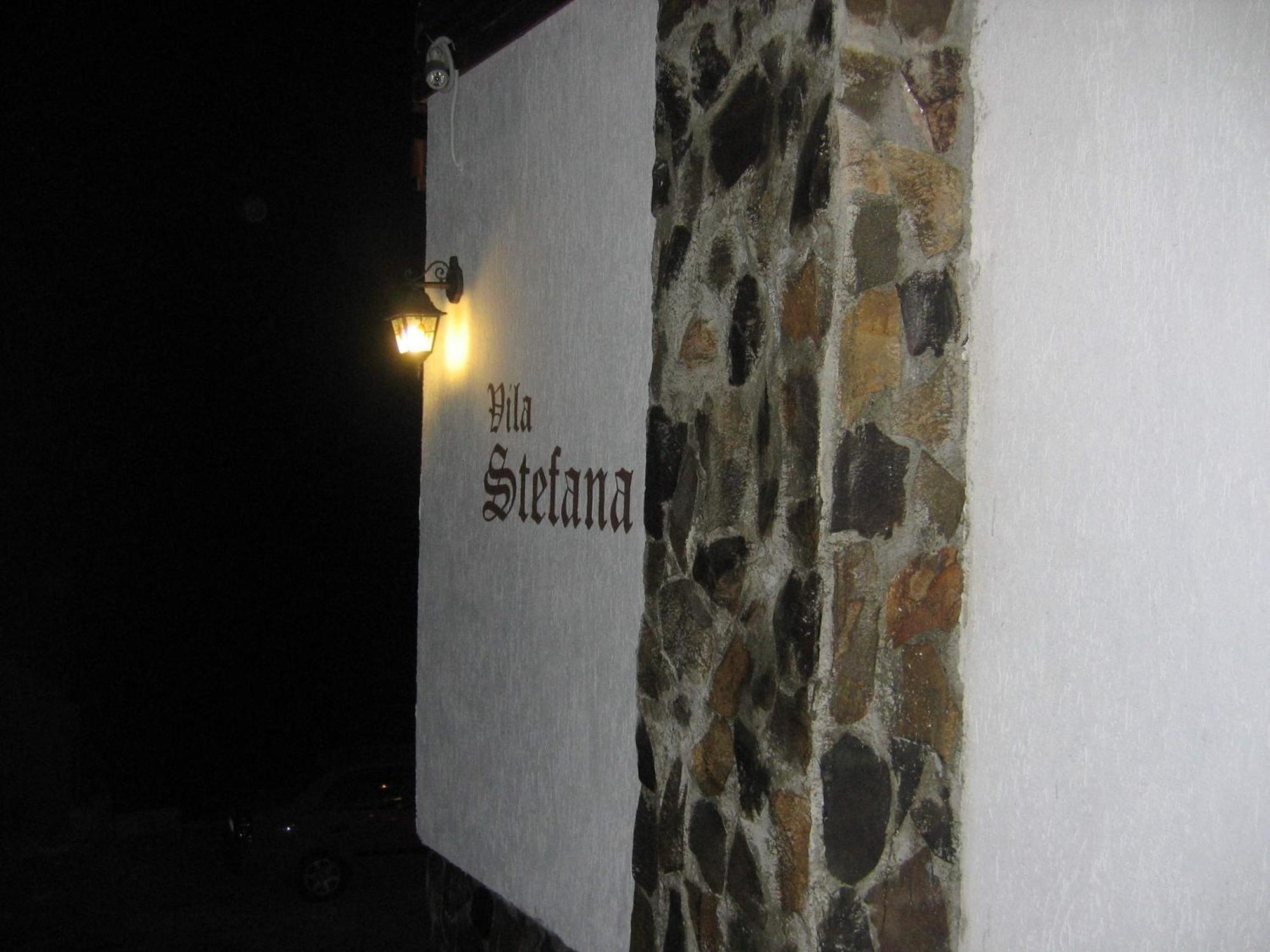 Vila Stefana Paltinis Luaran gambar